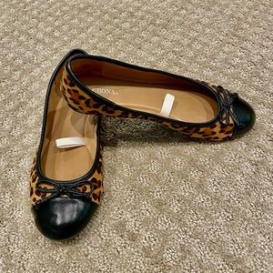 Leopard Print Ballet Flats.
